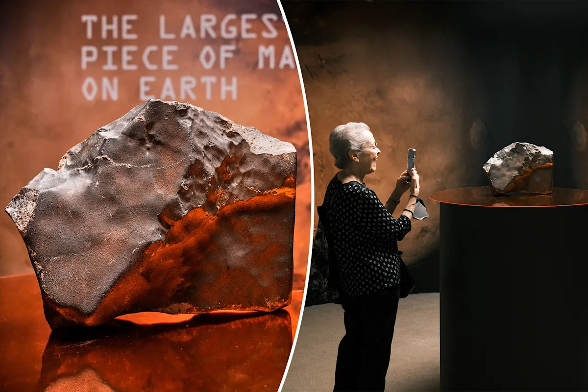 Record-Breaking Martian Meteorite Sells