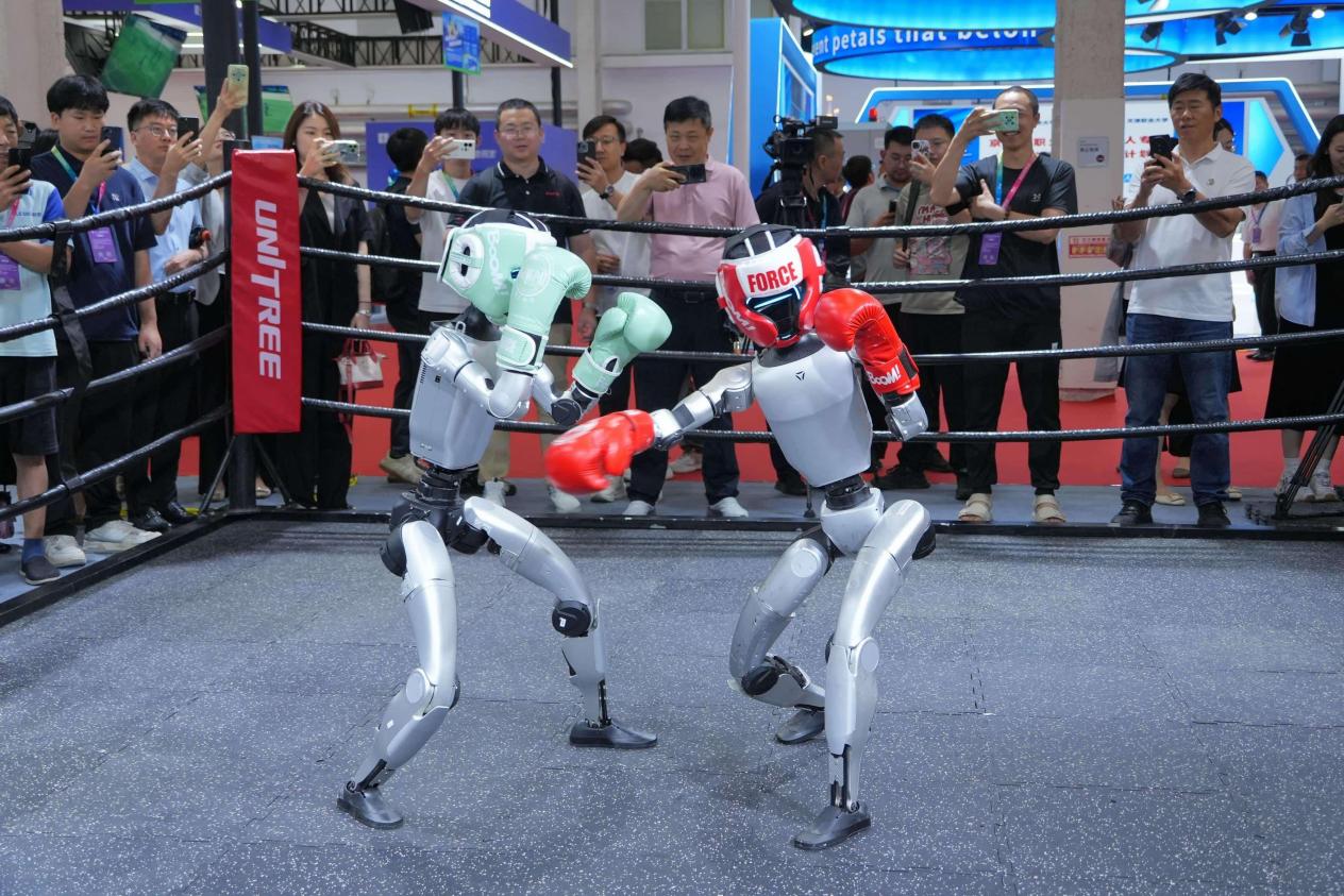 Humanoid Robot Games
