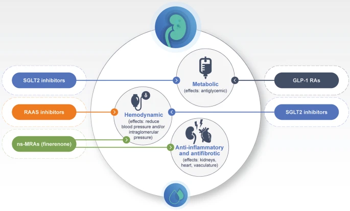 UACR Reduction in CKD