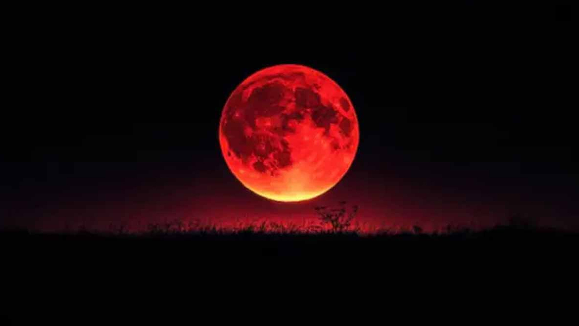 Blood Moon