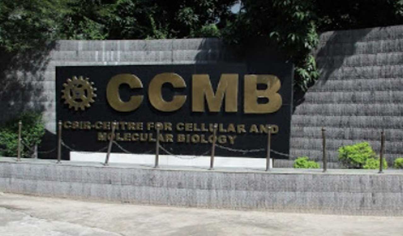 CSIR-CCMB