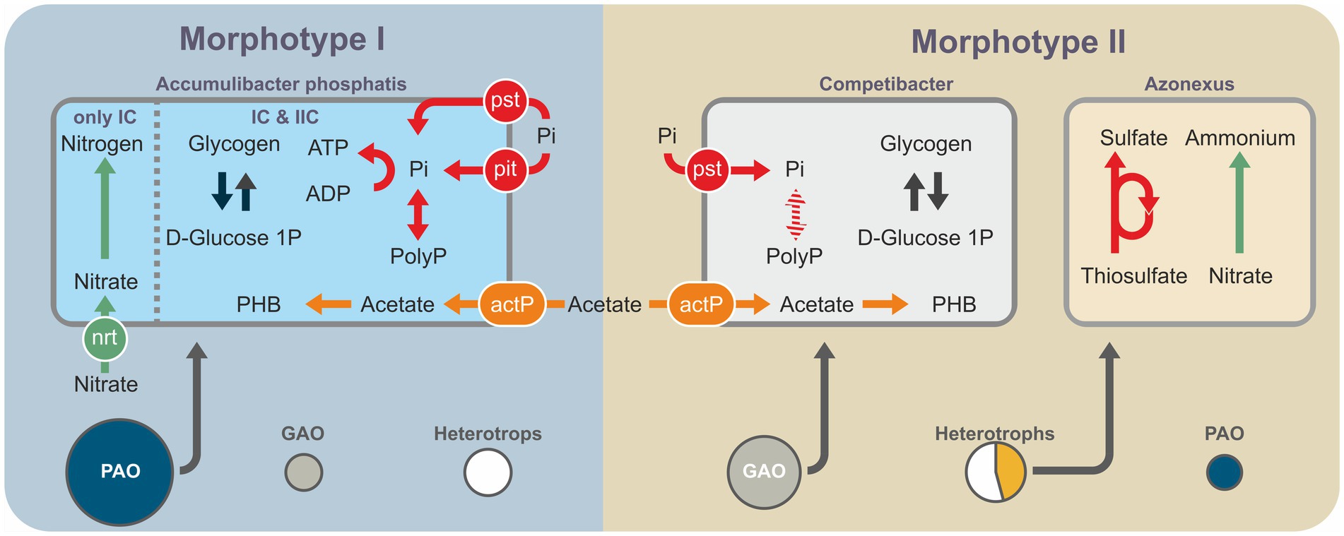 Metaproteomic
