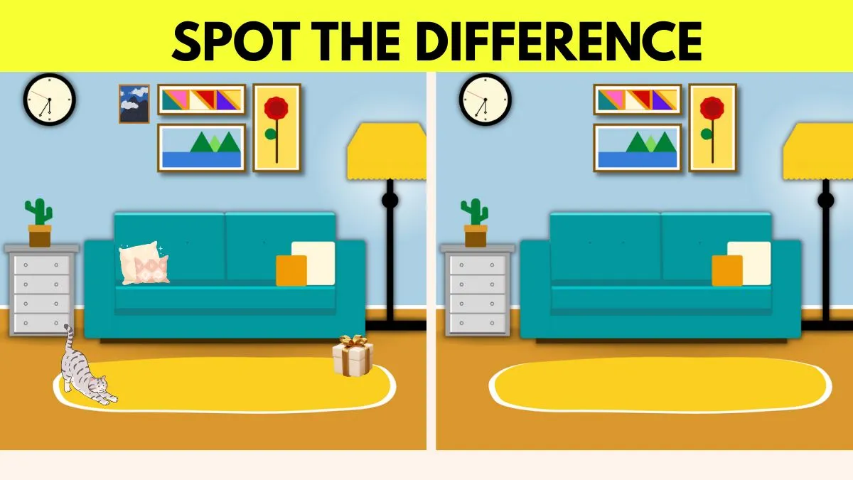 Optical Illusion Challenges