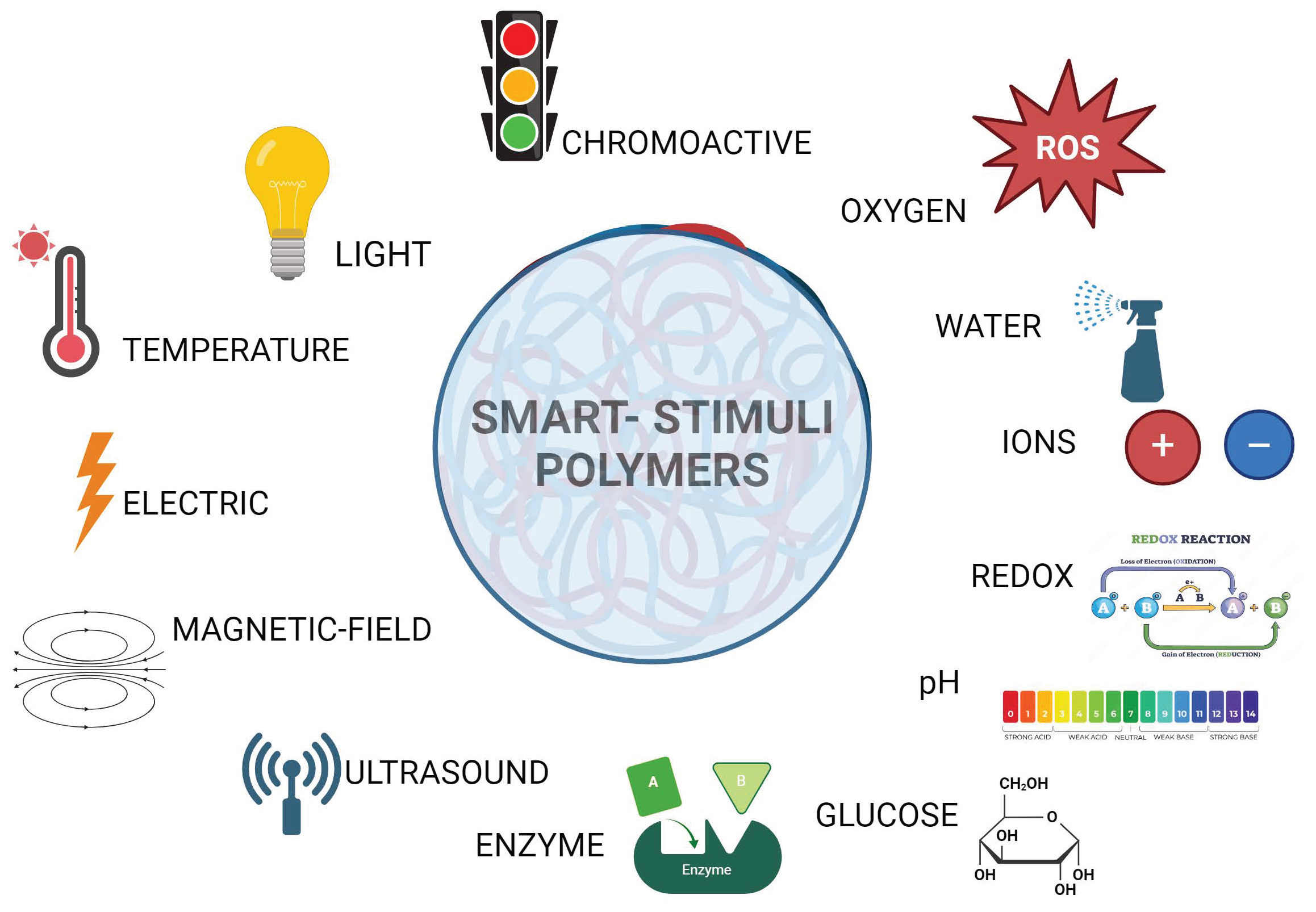 Smart Polymers Transforming
