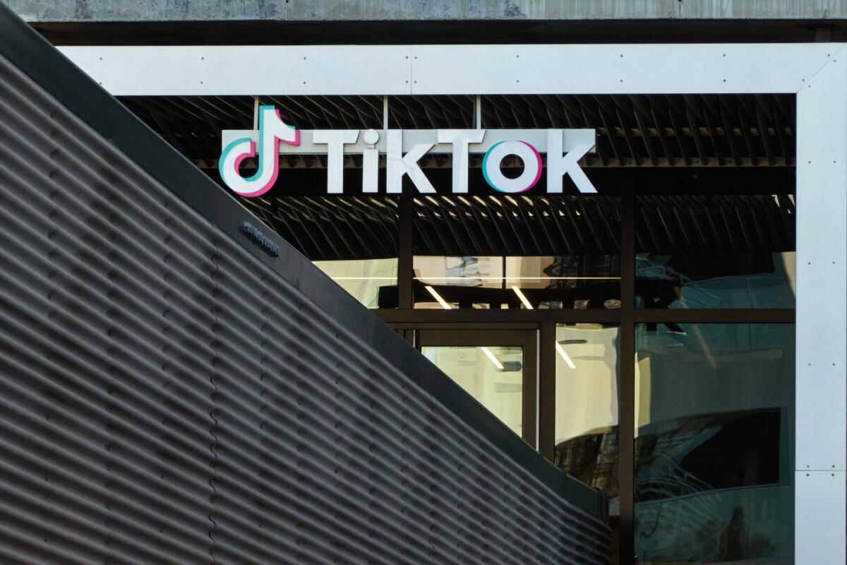 TikTok Security Framework