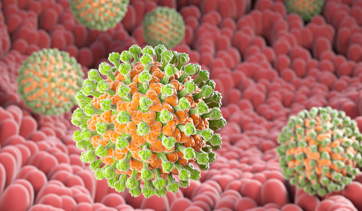 Deadly Rotavirus Infections