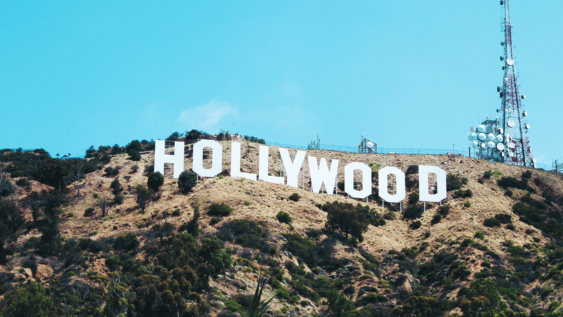 Hollywood
