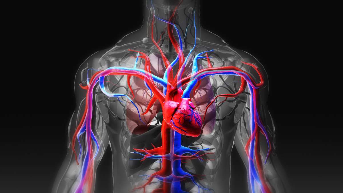 South Asian Heart Health Awareness and Action